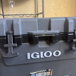 Igloo Cooler