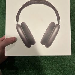Airpod Maxes 
