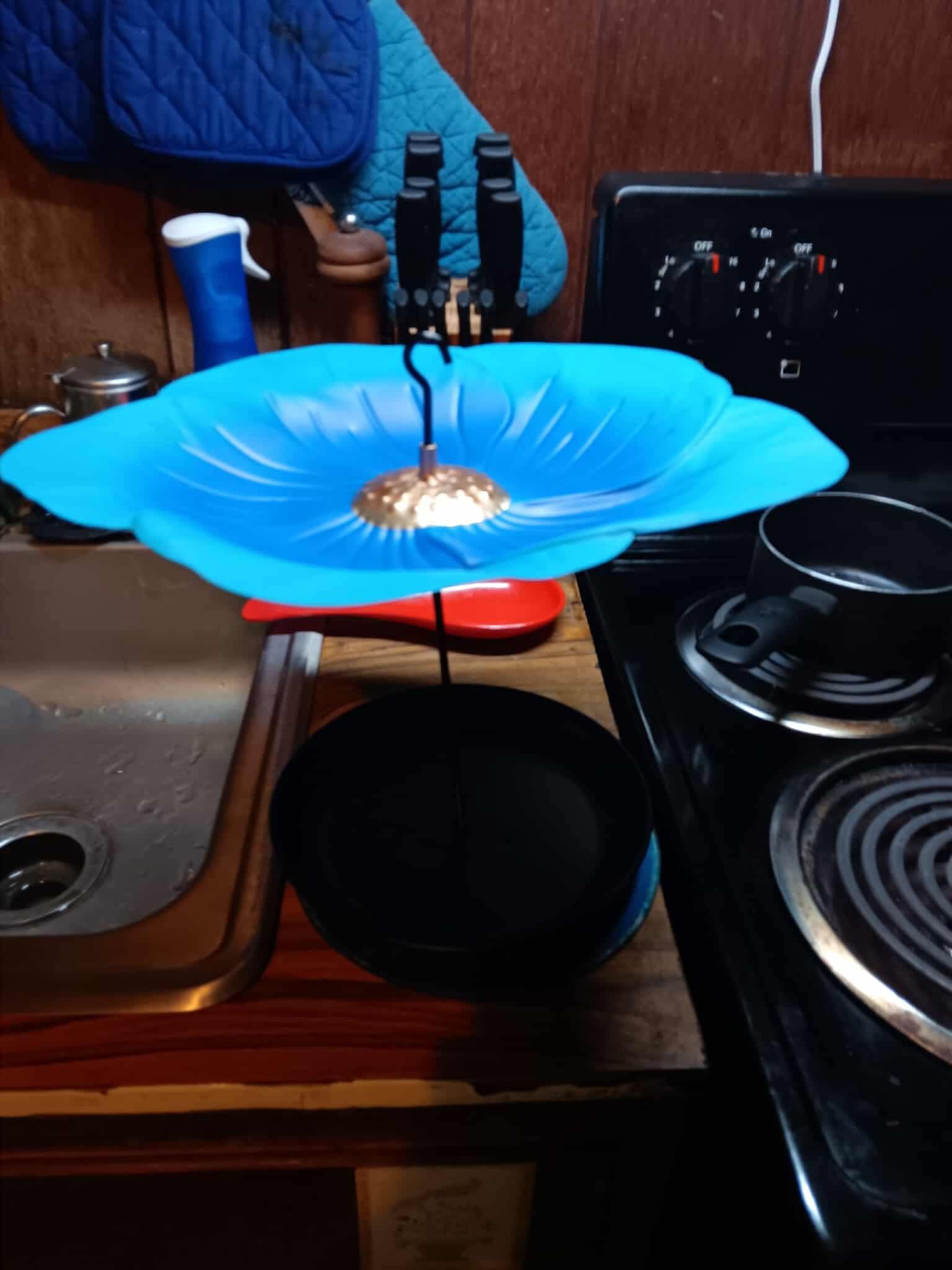 Covered Bird Feeder For Or Indoor Platform Bird Feeder With Roof For Large Bird Metal Tray Bird Feeder With Dome Top For Bluebirds Cardinals Or