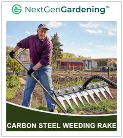 (New in box!)  Heavy-Duty 9-Tine Dethatching Rake