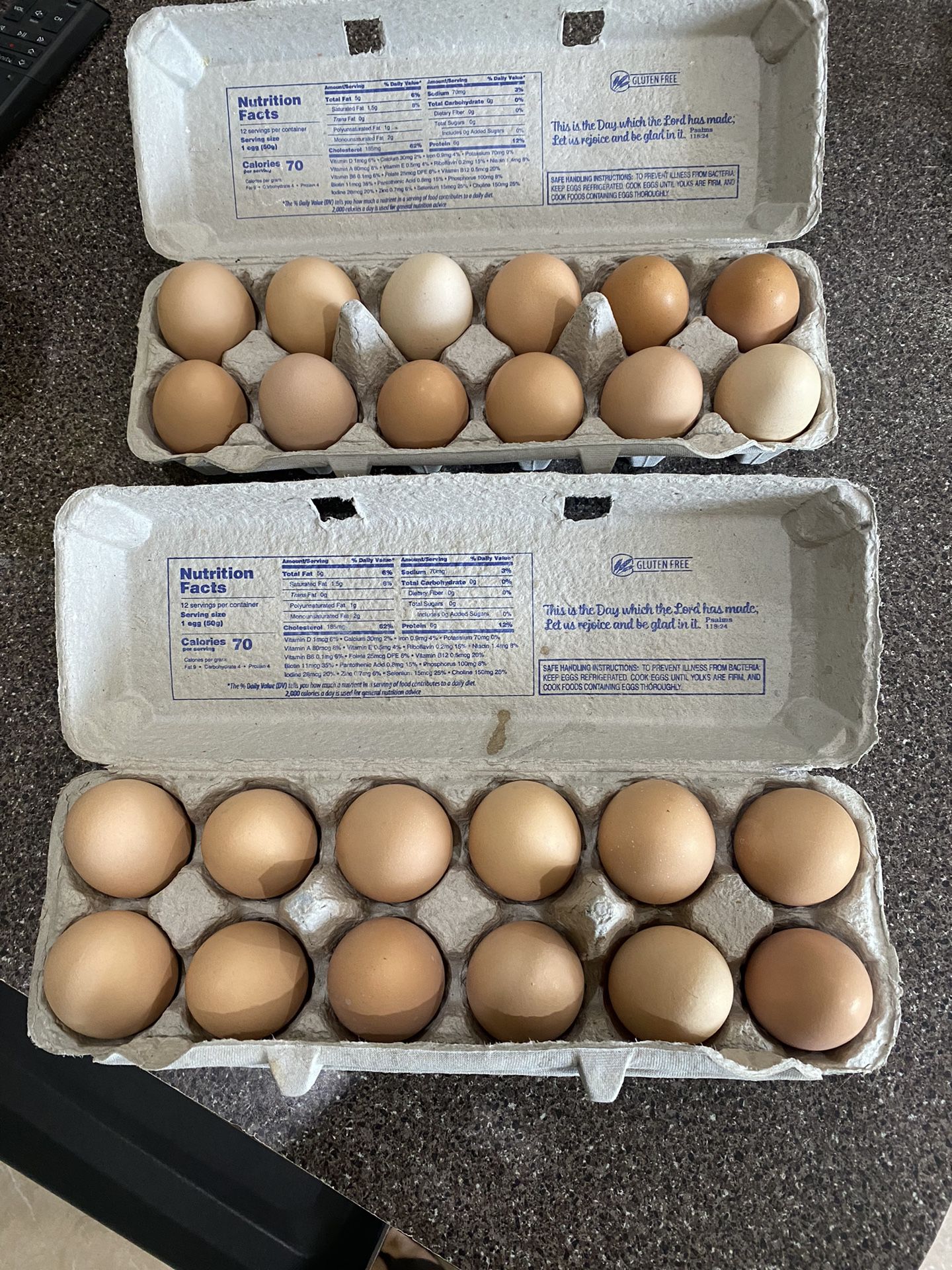 Fresh Eggs $5/dozen