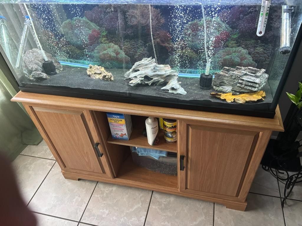 55 Gallons Fish Tank And Solid Wood Stand 