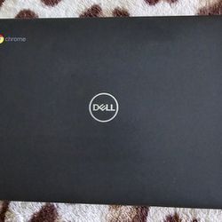 Dell chromebook 3100 p29t
