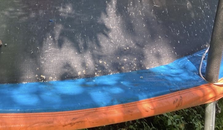 14ft Trampoline W/Safety Net - All Parts Included! Priced To Sell FAST! 