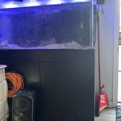 Vendo Un Acuario   Mis  Tiempo  No Alcanza  Para Cuidar Los