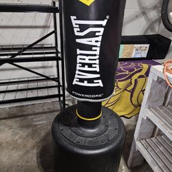 Everlast Powercore Free Standing Indoor Rounded Heavy Duty Fitness Training Bag