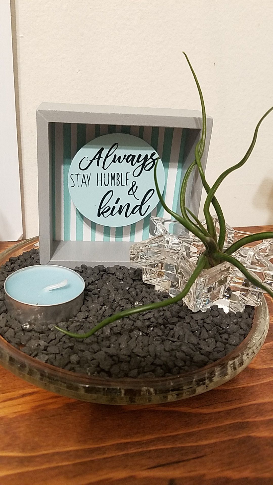 Live air plant & candle holder