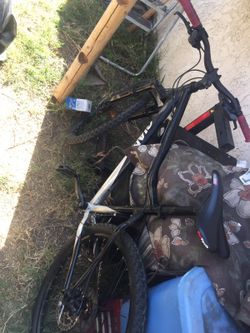 Giant bike