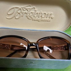 Brighton Sunglasses