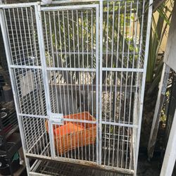 Bird Cage