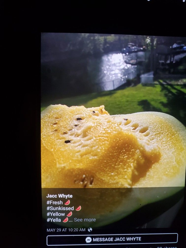 Florida Yellow Watermelon 