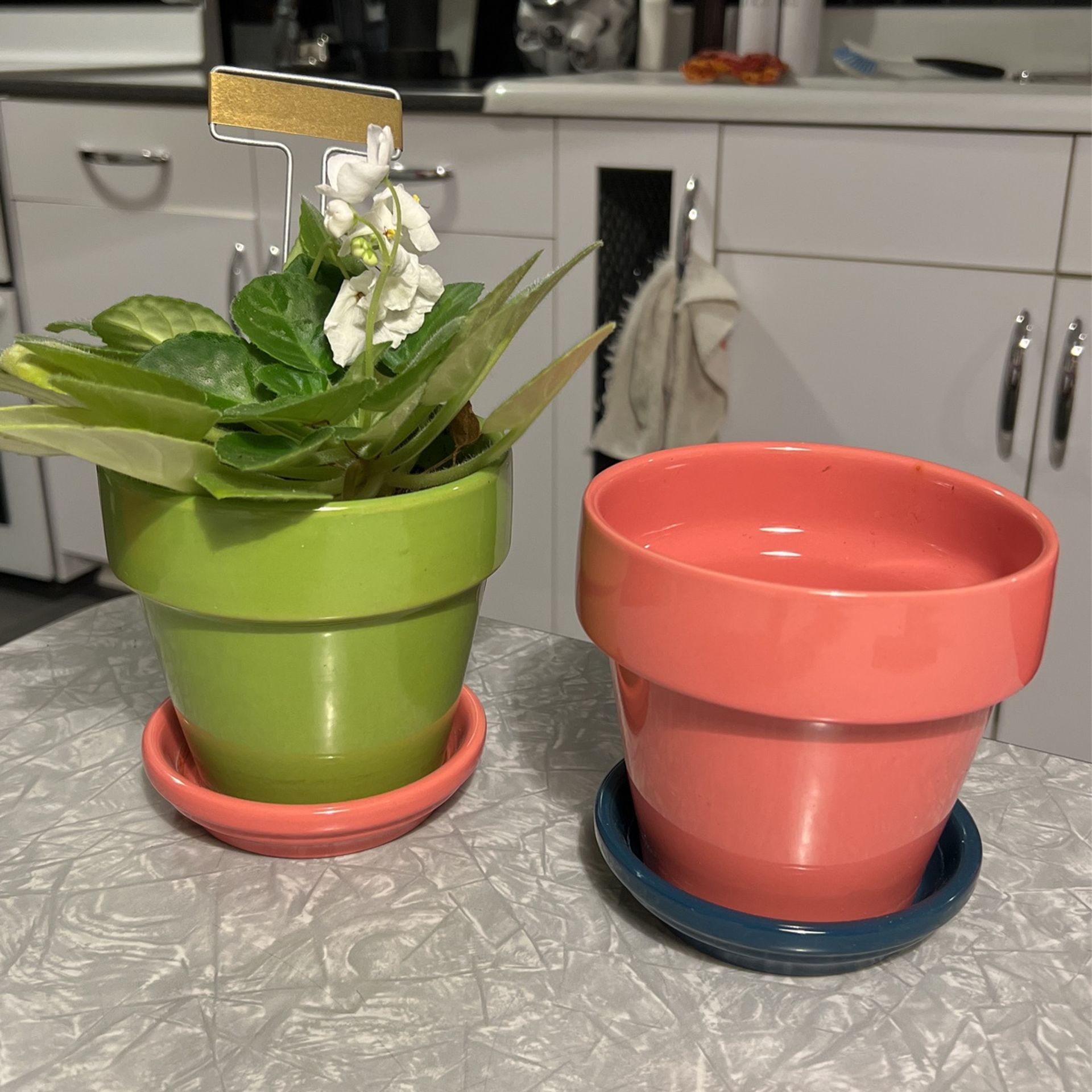 2 Ceramic Flower Pots With Saucers And 1 Plant