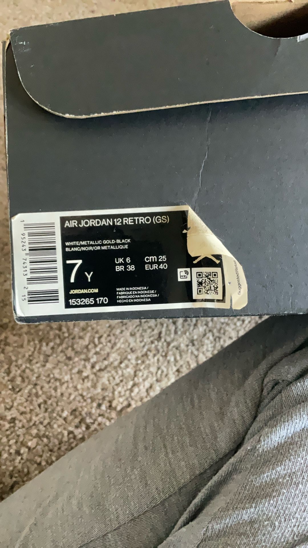 Air Jordan 12 Retro