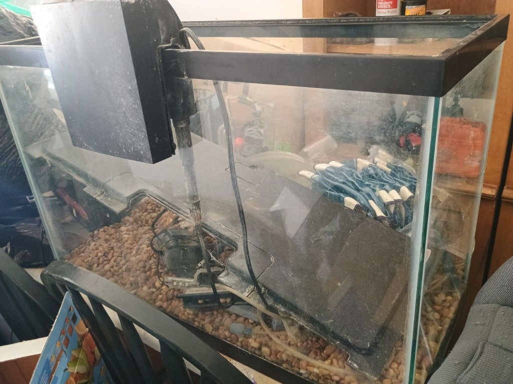 29 Gallon Aquarium