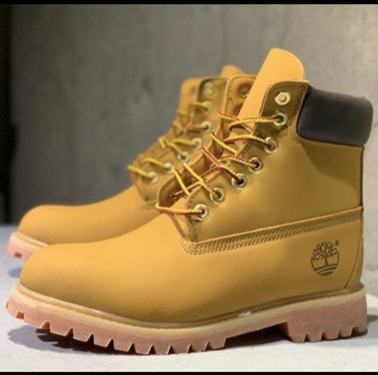 Timberland Size 10 ( Read )