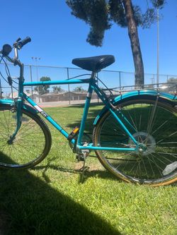 Teal City Cruiser Bike