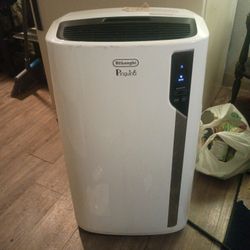 DeLonghi Pinguino Portable Air Conditioner