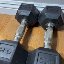 Pair Of 20lbs Dumbbells