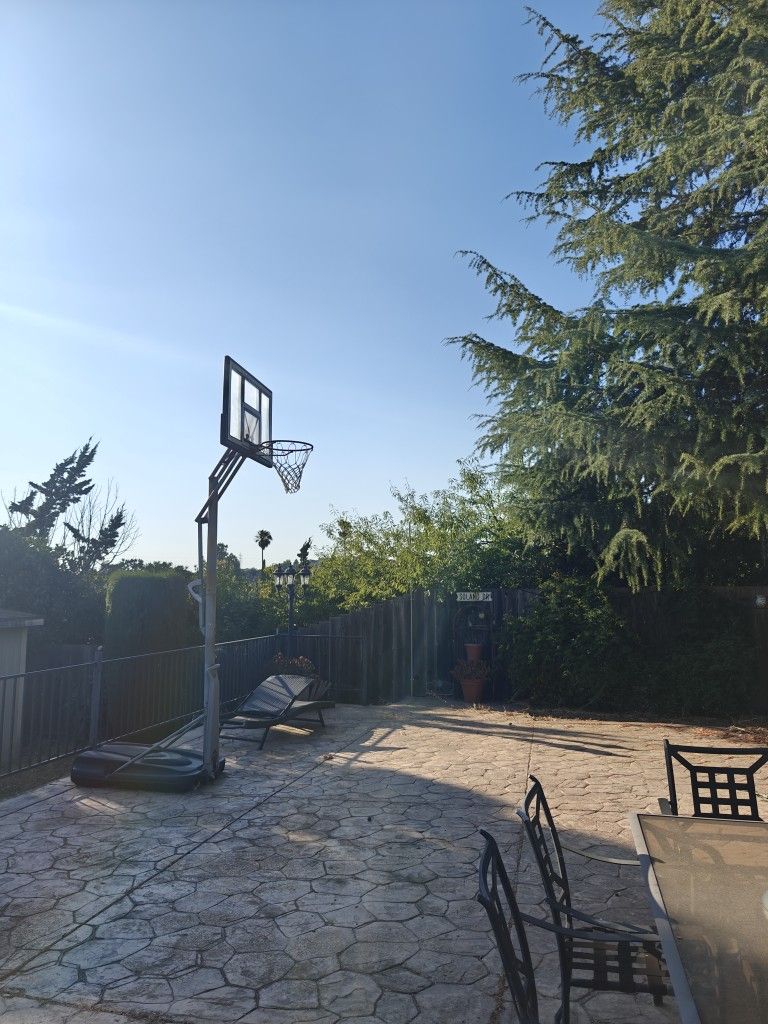 Basketball