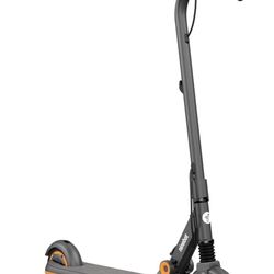 Segway Ninebot Zing E12 eKickScooter Electric Scooter