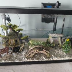 Aquarium Clearance
