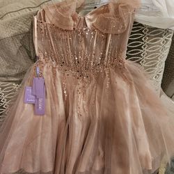 Pink Dress Size 2x