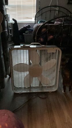 Fan