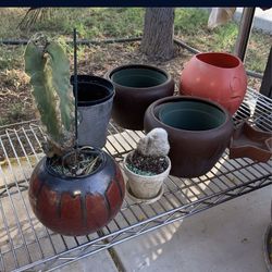 Pottery Planting Pots 