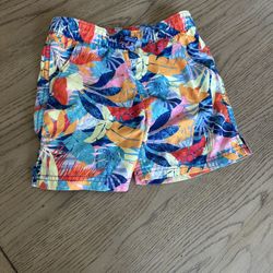 4T Toddler Boys Swim Trunks
