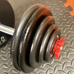 Set of Cast Iron Adjestables Dumbbells With Weight Plates: 10s, 7.5s, 5s, 2.5s and 1.25 pounders. Brute W: 115 #