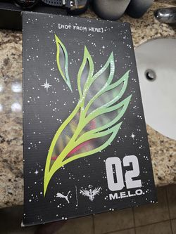 02 M.E.L.O. Rick & Morty's