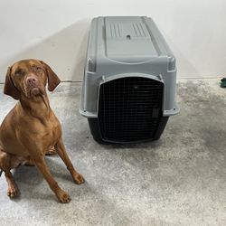 Petmate® Ultra Vari Dog Kennel