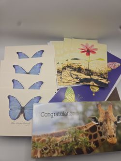 Nature Greeting Card Lot – 14 Cards