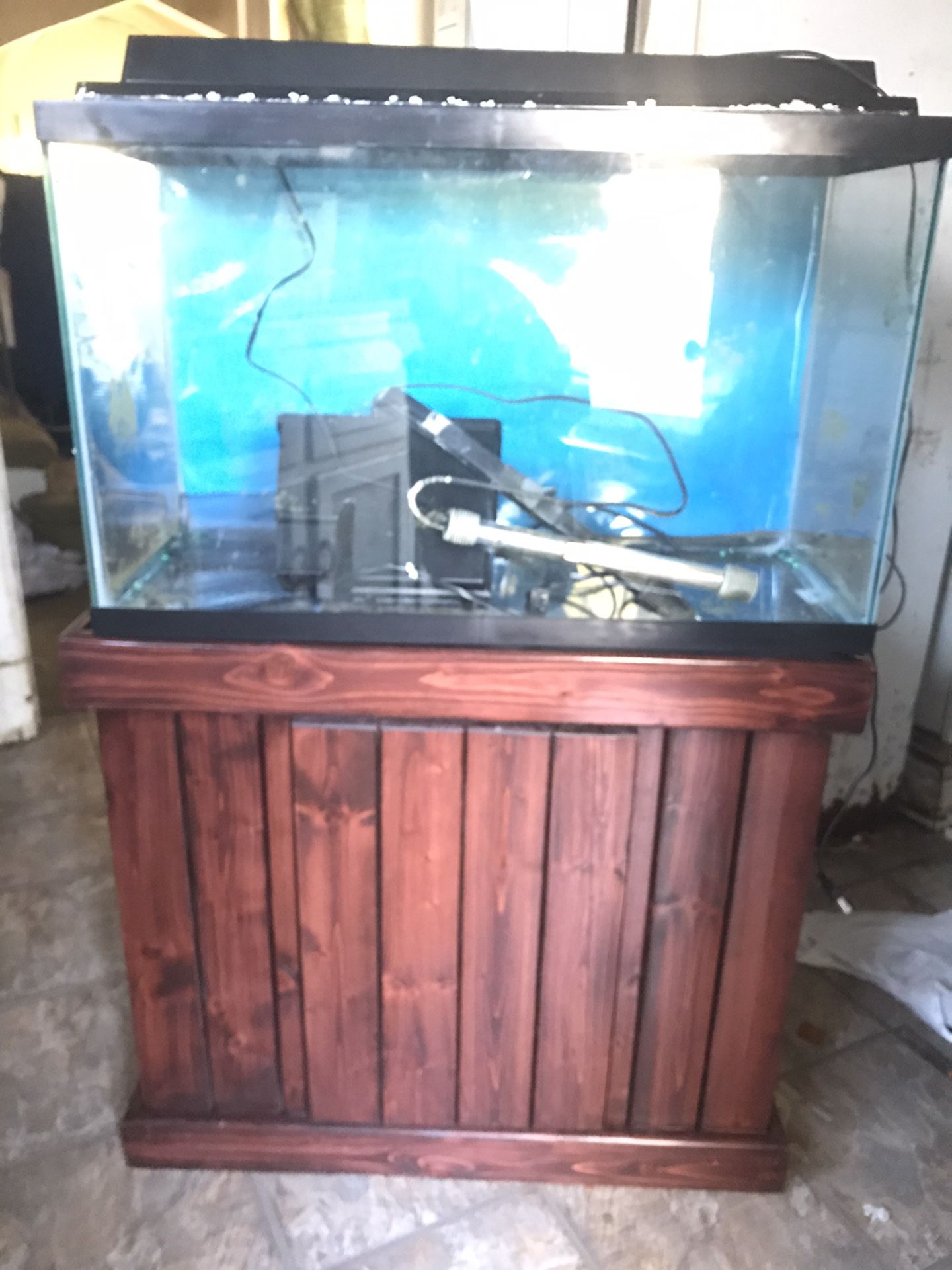 30 Gallon Aquarium Setup
