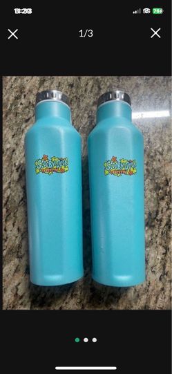 Each $15 Scooby-Doo Run Logo Double Wall Stainless Steel Water Bottle 20 OZ Works Flaw