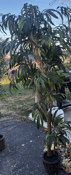 Fake Plant