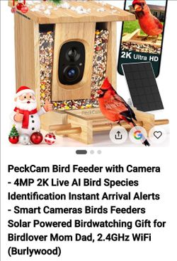 Peck Cam Bird Feeder w/Camera. New