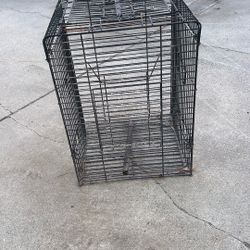 Bird Cage