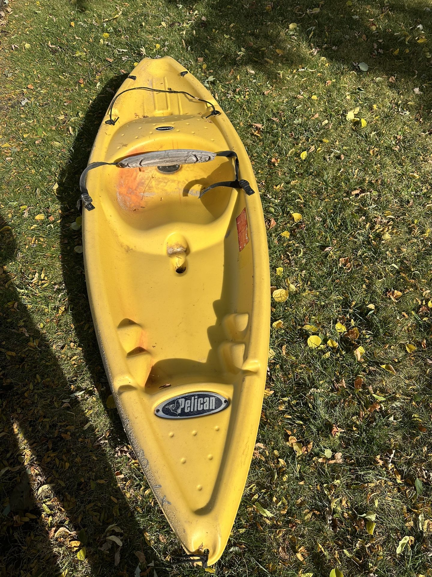 Kayak
