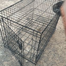 Dog Cage 