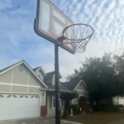 Lifetime Portable Basketball Hoop