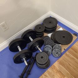 Weights And Dumbbells (270lbs Total)