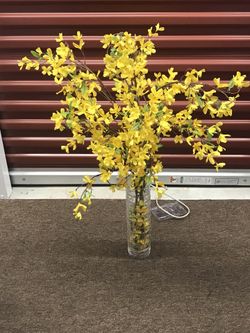 Forsythia spray In Clear Vase