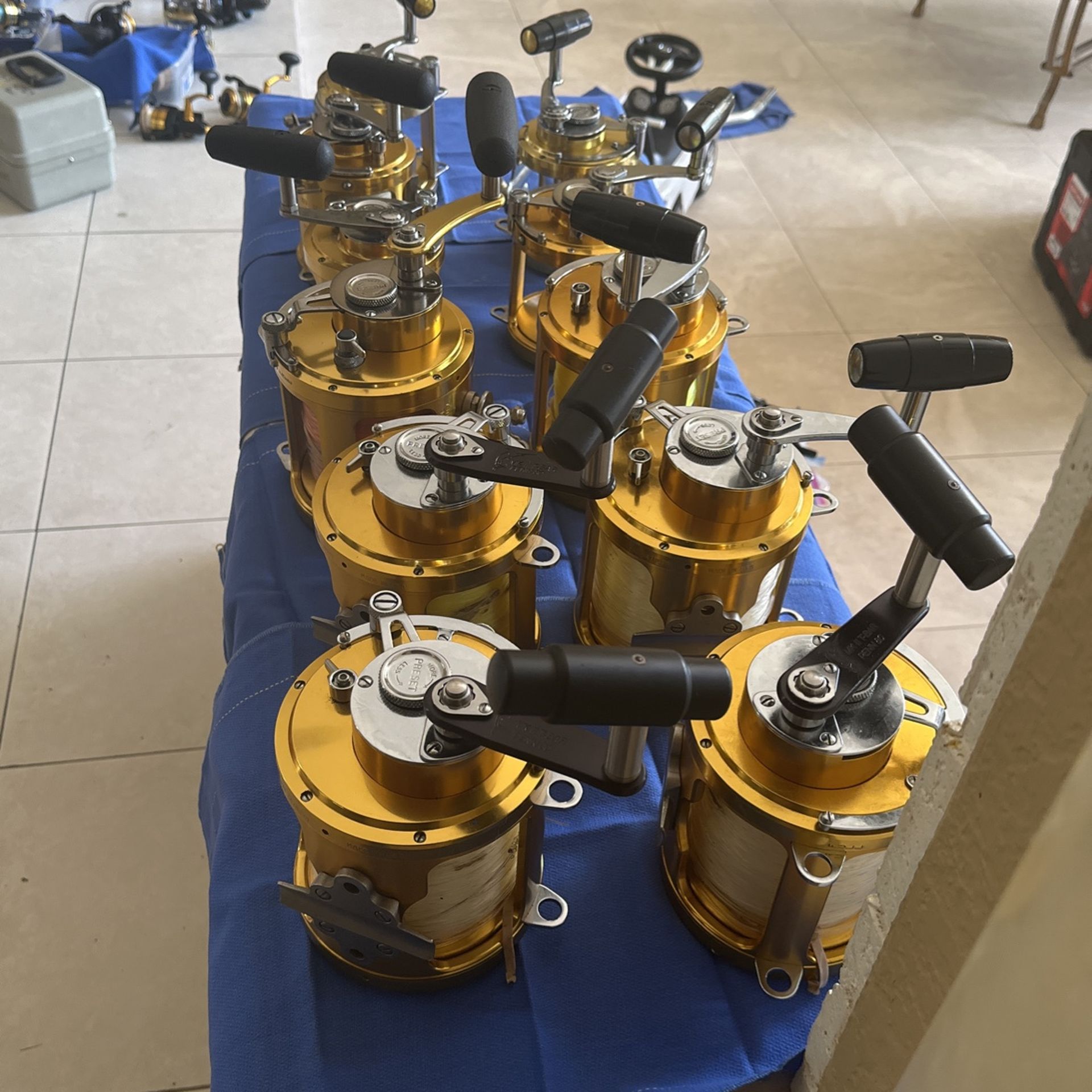 Penn International Reels