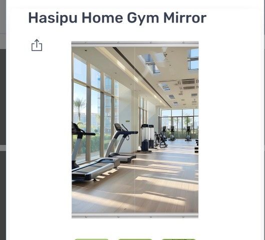 Hasipo home gym mirrior