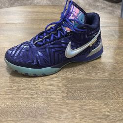 LeBron Basketball Shoes