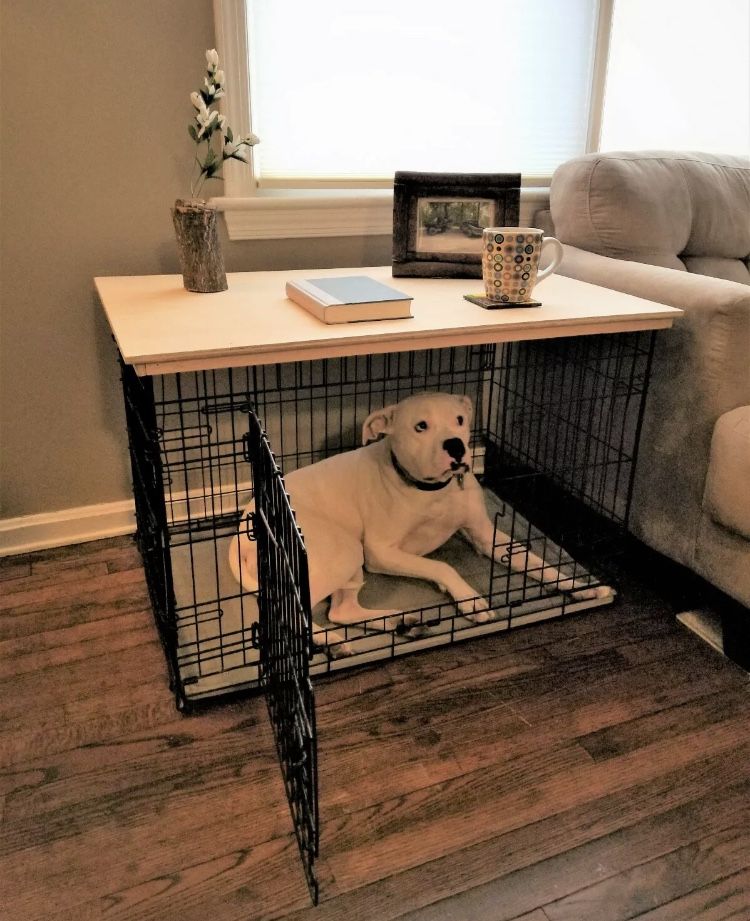 Dog crate cage 30 x 19