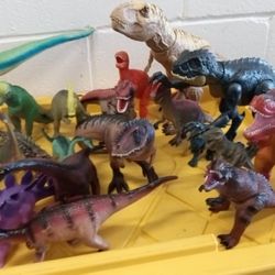 The 45 Dinosaur Different Size 