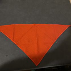 Boy Scouts metals with original bandannas