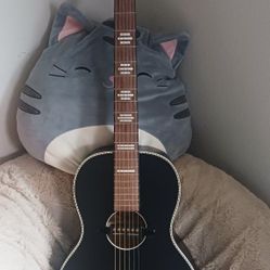 Recording King Parlor Acoustic Guitar